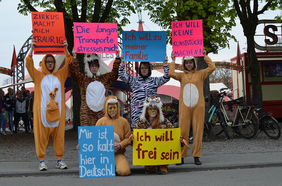 Wenn Tiere sprechen könnten..  Die Aktivis in Tierkostümen hielten folgende Plakate hoch: "Zirkus macht mich traurig" "Die langen Transporte stressen mich" "Ich will zu meiner Familie" "Ich will keine Kunststücke machen" "Mir ist so kalt hier in Deutschland" "Ich will frei sein"
